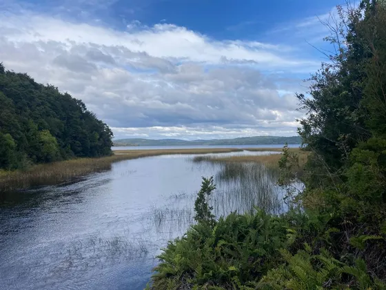 Parcela 26 Hect A Un Km De Lago Tepuhueico Cerca De Chonchi