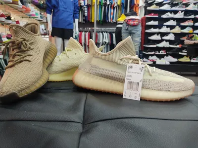 Adidas yeezy tiburon niño online