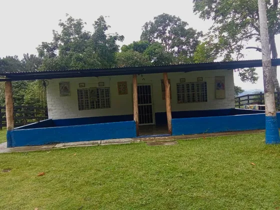 Finca Ganadera En Venta En Bejuma(am)
