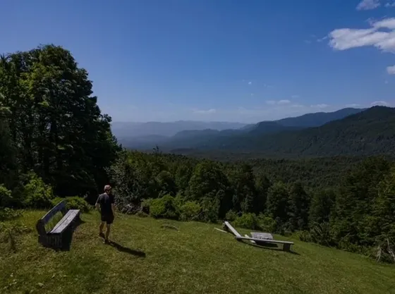 Vendo Parcela 5000m2 En Rinconada De Pucon Curarrehue