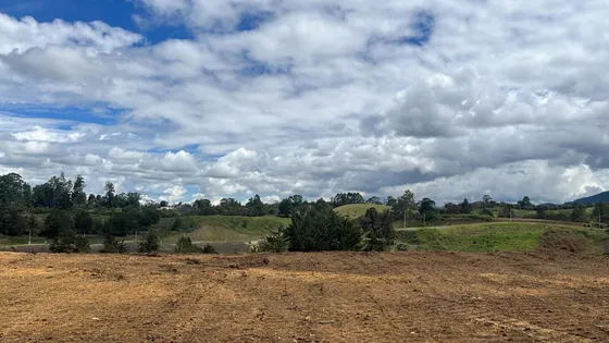 Lote En Venta En Rionegro. Cod V12284