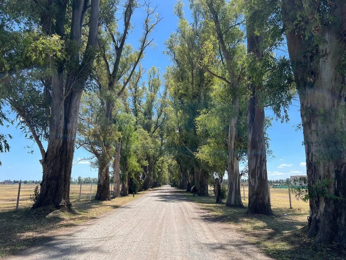 Lot for Sale in Tres Pinos, General Rodríguez