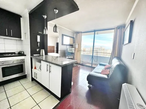 Departamento En Venta De 1 Dorm. En Santiago