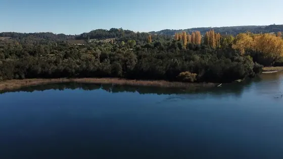 Sitio En Venta En Panguipulli