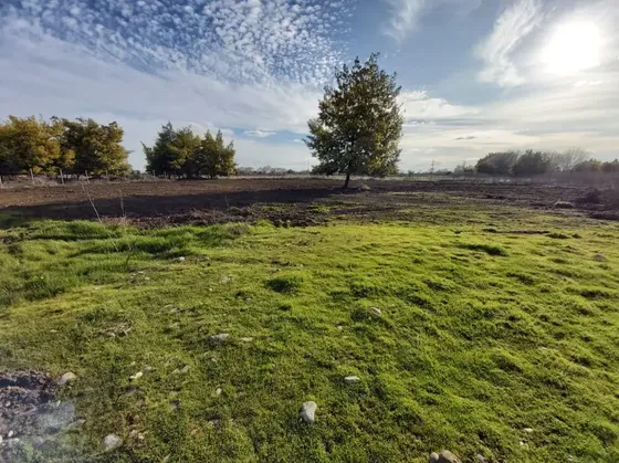 Parcela En Venta, Rinconada De Cato.