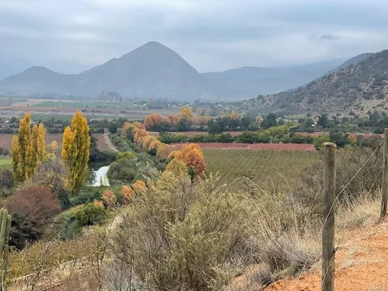 Campo En Las Cabras, Para Cereza Temprana