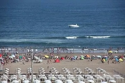 Desde$35000.-prim Quinc Dici. Agotado Hasta El 14/2/25 Espectacular Super Necochea Enamoráte De La Merjór Playa Argentina Temp 2024/25 Depto. F/ Al Mar  Cons. Valor Especial Por Quincena Y Mes