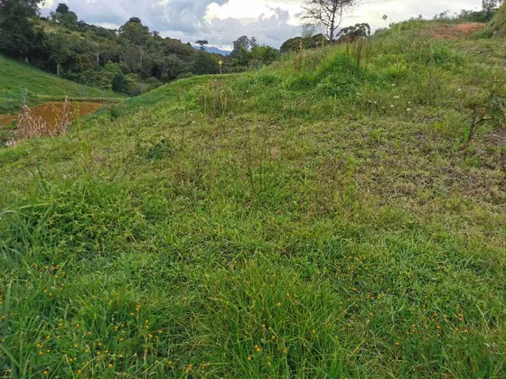 Venta De Lote En El Carmen De Viboral