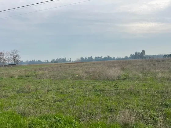 Venta Campo Con Explotacion Agricola