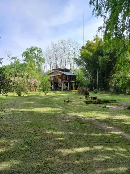 Quinta - Caraguata