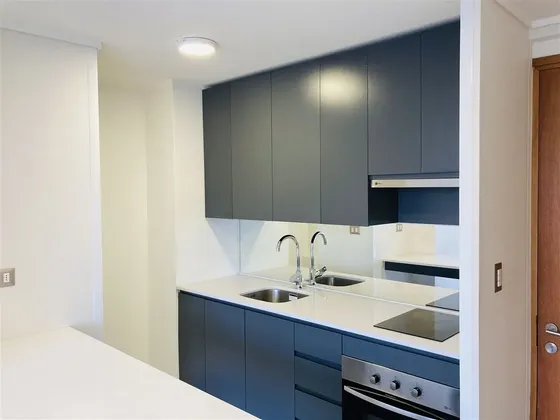 Departamento En Arriendo 1d 1b Metro Toesca Y Parque Almagro