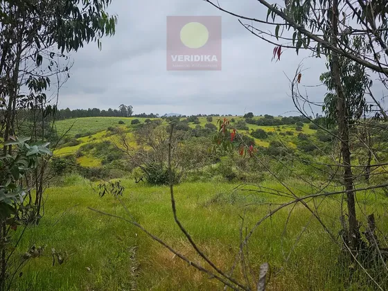 Vendo Terreno Industrial En Cartagena 6.900 Uf/há, 23há.