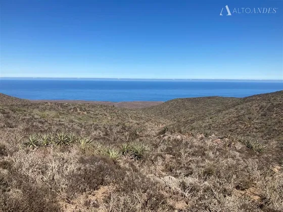 Sitio En Venta En Ovalle