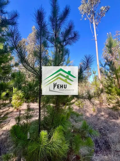 Se Vende Terreno En Fundo Llampaiquillo, Quintay