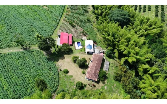Finca De 17 Cuadras En La Tebaida Topografía Plana