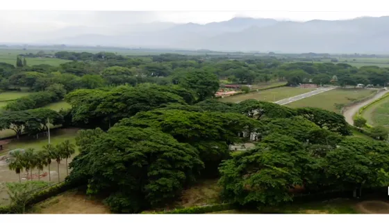 Venta Lote Rozo - Condominio Los Samanes De Rozo
