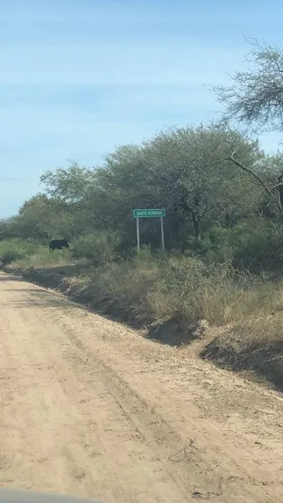 Campo 386ha En Alquiler, Lugones, Santiago Del Estero !