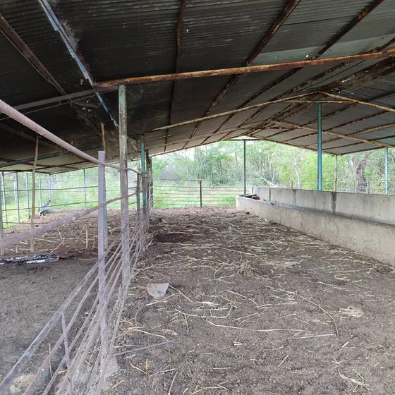 Venta/ Finca / 1060 Has/ Altagracia De Orituco- Guárico/ Ref: 150.000 Neg