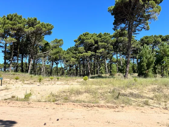Lote En Venta En Barrio Bosques Pinamar Norte