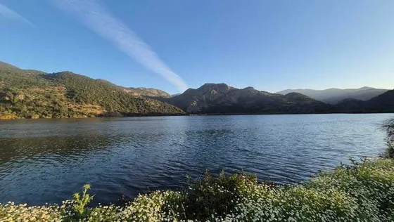 Campo Subdividido En 100 Lotes  (92736)