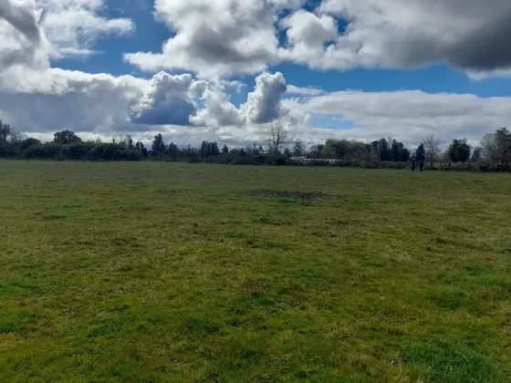 Parcela Entre Rio Bueno Y Lago Ranco