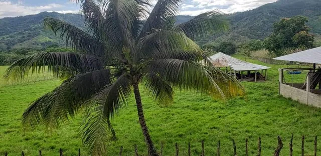Finca En Venta Cotuí