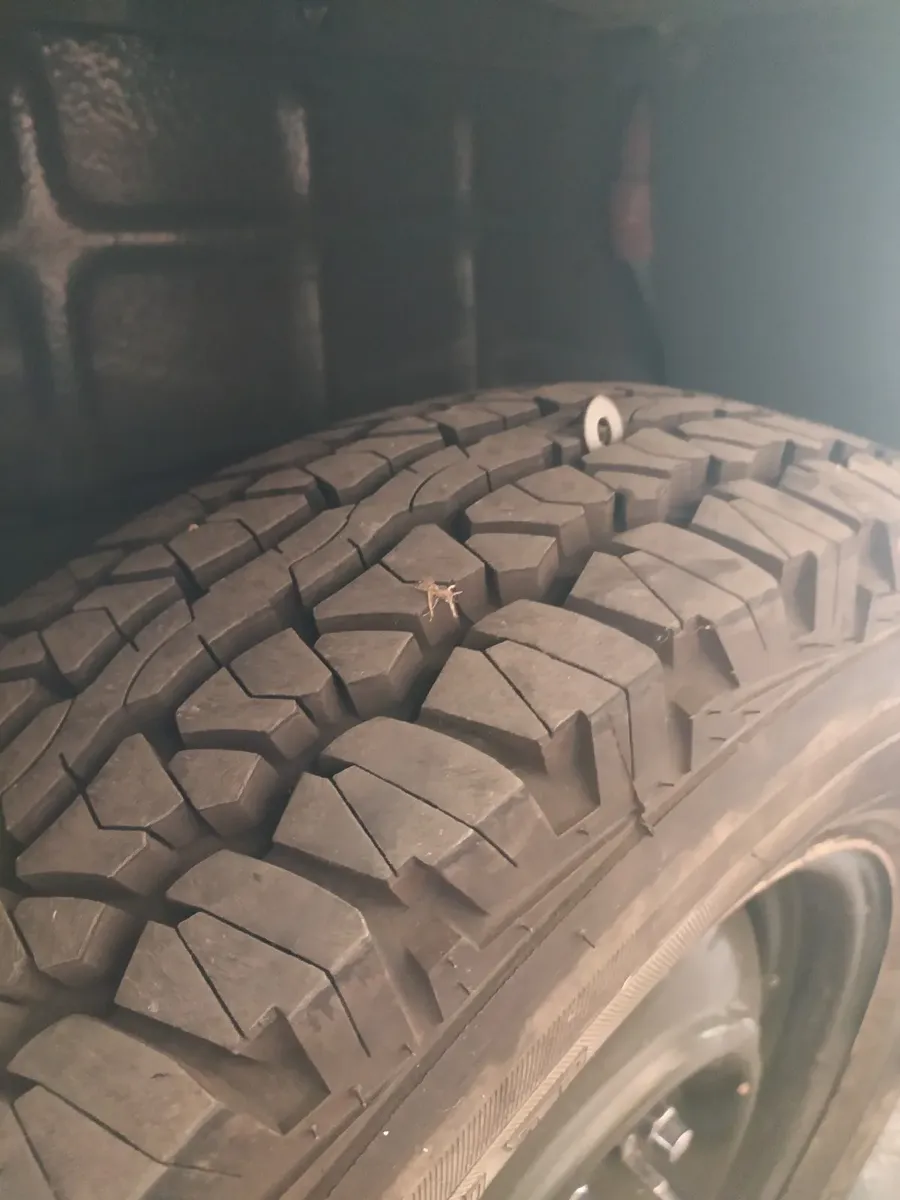 Dodge D100 D 1005147395985467187210