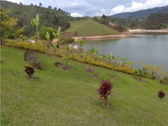 Finca Para La Venta En El Peñol La Magdalena Para Inversionistas