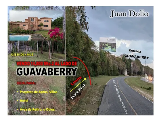 Vendo 14,000 Mts.2 De Terreno Justo Al Lado De Guavaberry En Juan Dolio, En La Marginal De La Autovia