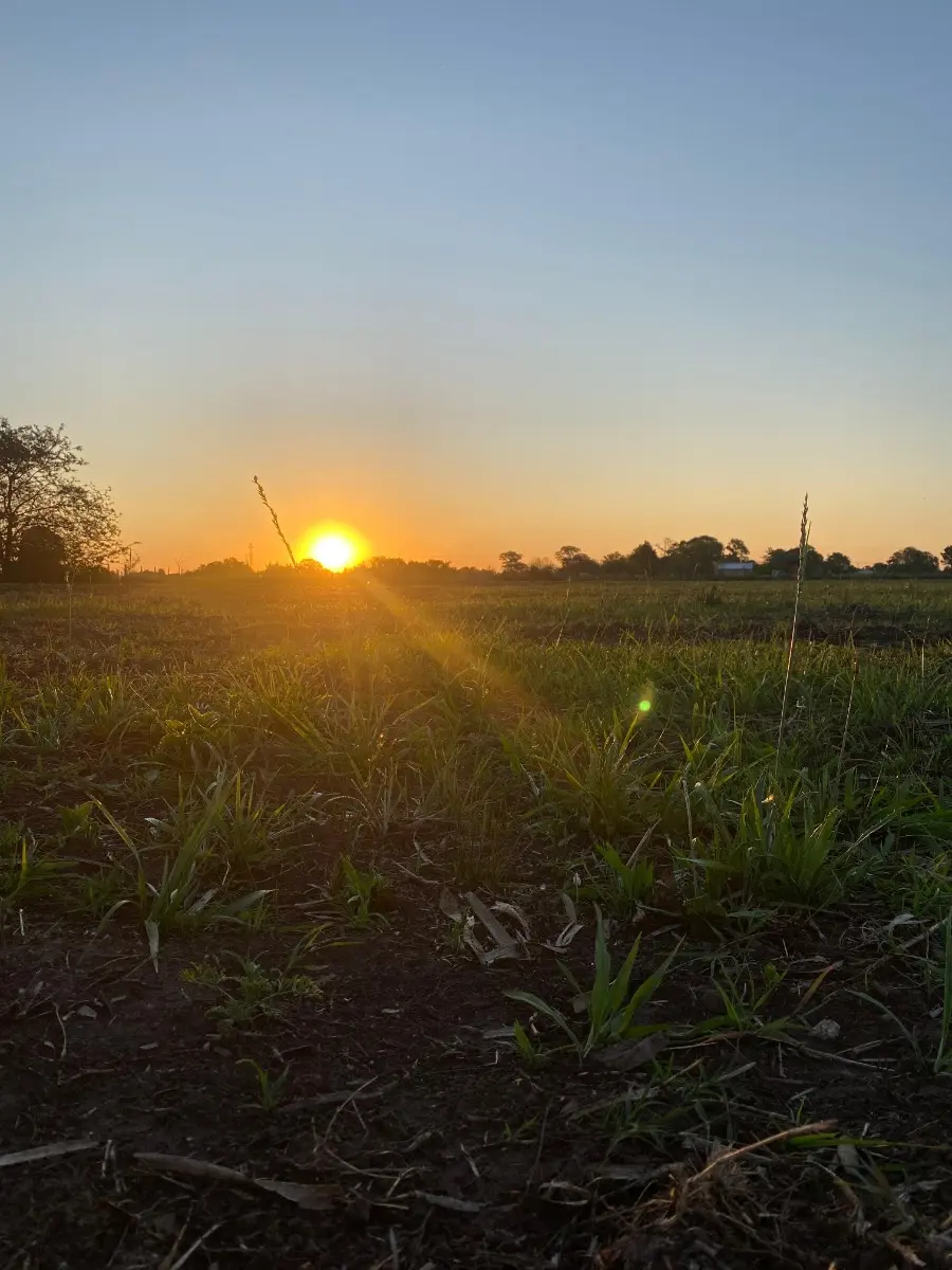 Terreno, Lote En Venta Zona Quinta Rural Carmen De Areco 