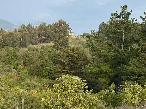 Terreno De 3,3 Hectáreas En Campomar 1 Mantagua