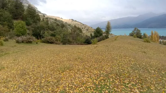 Entorno Natural Y Tranquilidad Asegurada (159952)