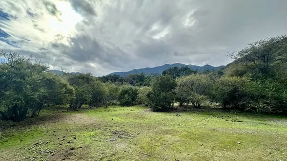 Venta Parcela 5000mts Olmué