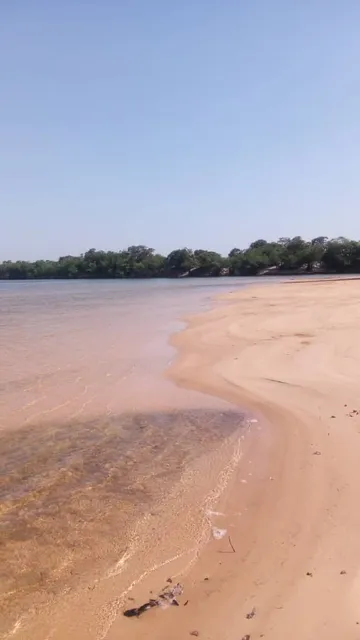 En Venta Hato El Corralito, Pedro Camejo Cinaruco 
