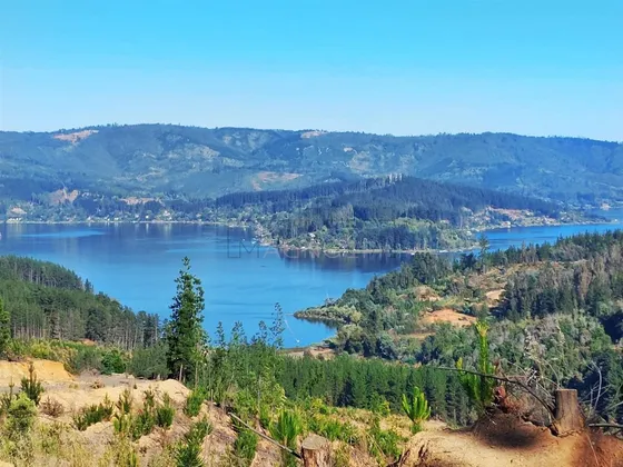 Parcela En Venta En Vichuquén