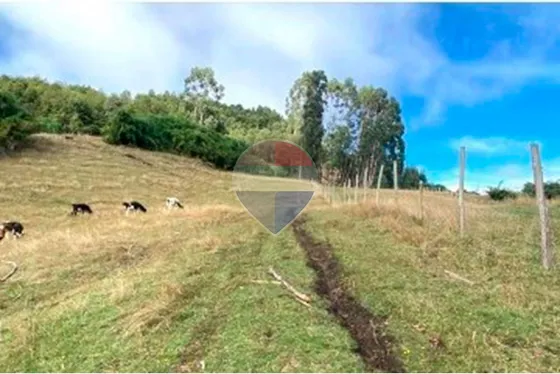 Sitio En Venta En Puerto Octay