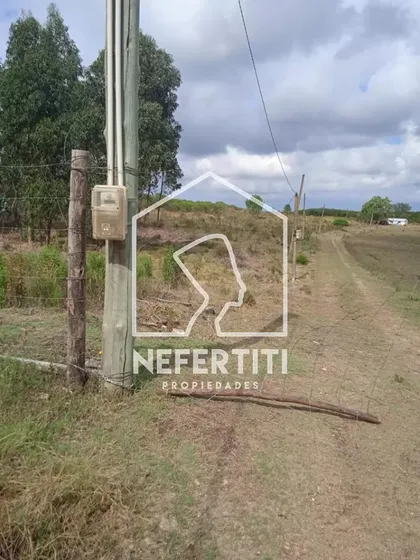 Chacra De 3 Hectáreas En Rincón De Pando