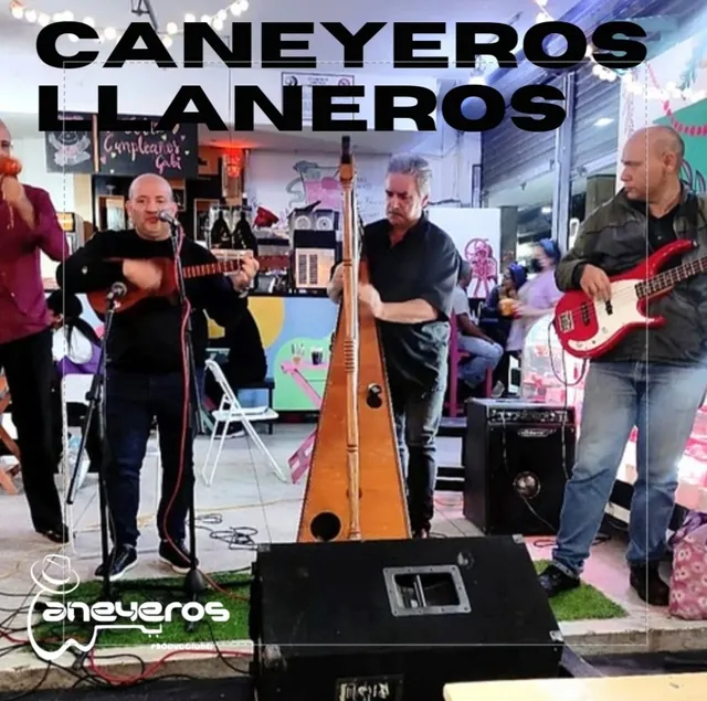 Grupo  Llanera, Grupo De Mariachis,grupo De Música Campesina