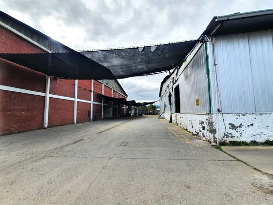 Frigorifico, Bodega Y Oficinas