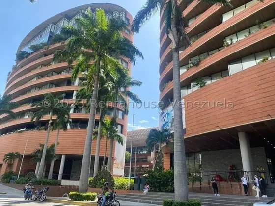 Leandro Manzano Oficina En Venta,la Castellana Mls #25-12559 As