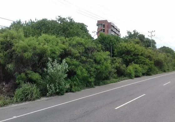 Terreno En Falcón, Tucacas. Ubicado En La Avenida Principal. Gg.p