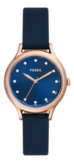 Fossil fs4686 hot sale
