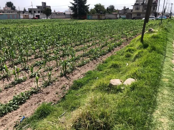 Terreno  En Venta, Zinacantepec, Plano.