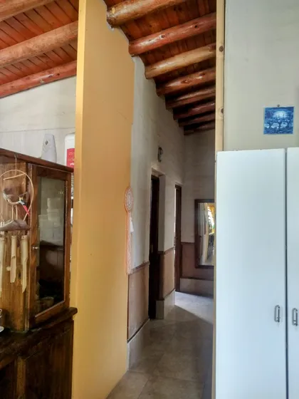 Vendo Propiedad Con 2 Casas Y Olivos