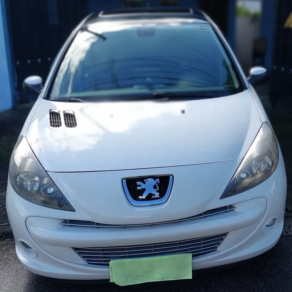 Peugeot 207 2013 1.6 16v Quick Silver Flex 5p Peugeot 207 2013 1.6 16v Quick Silver Flex 5p