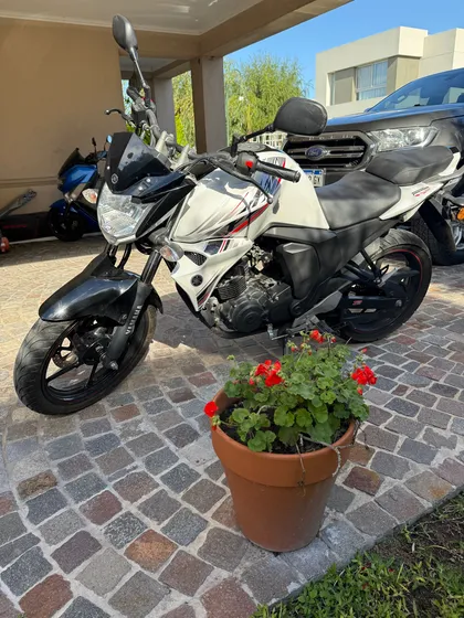 Yamaha Fzs
