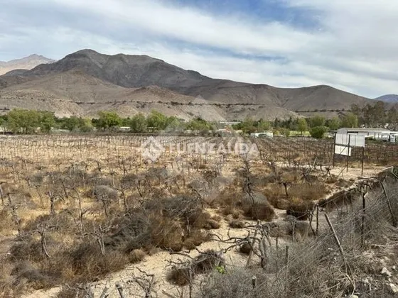 Sitio En Venta En Vicuña