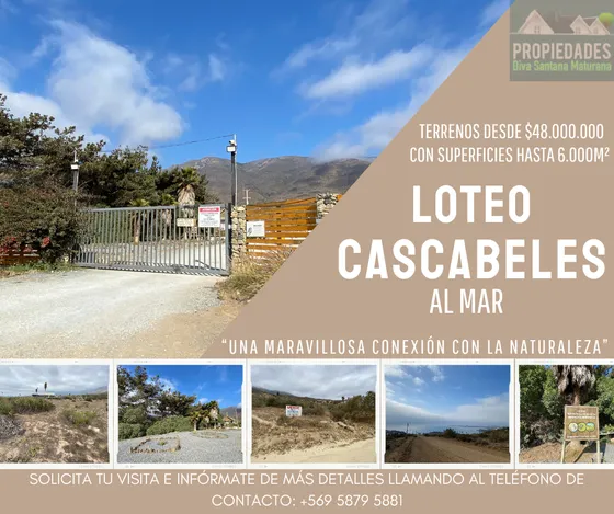 Loteo Cascabeles Al Mar, Una Maravillosa Conexión Con La Na