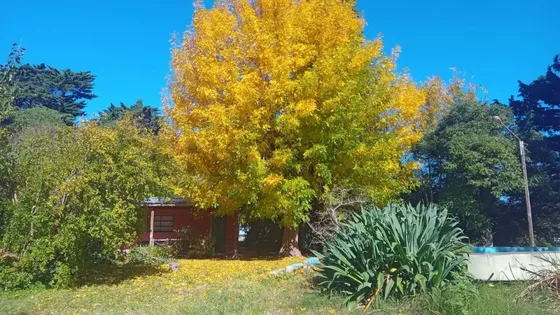Venta De Quinta En Los Talas, Berisso