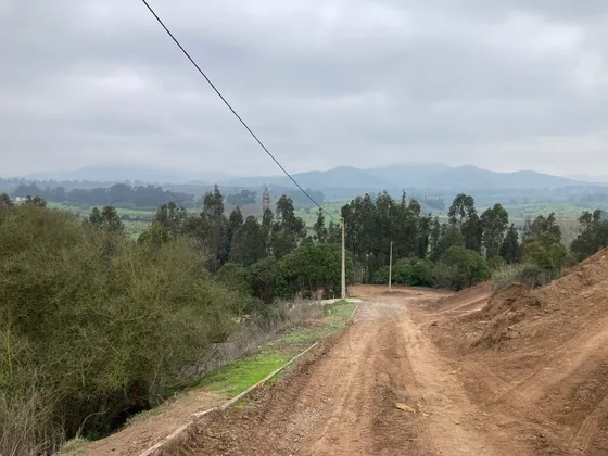 2 Terrenos  N° 96 Y 132 Total 5.000 Mt2 Campomar 4 Uf 1.990